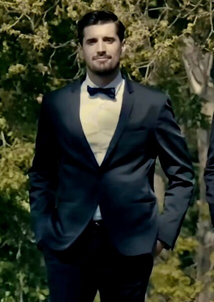Luka Šulić photo