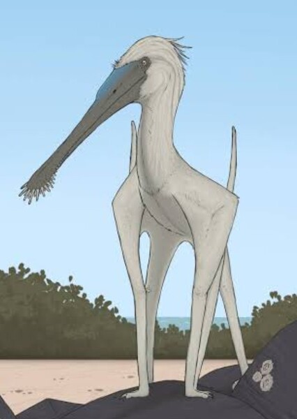 Lusognathus photo