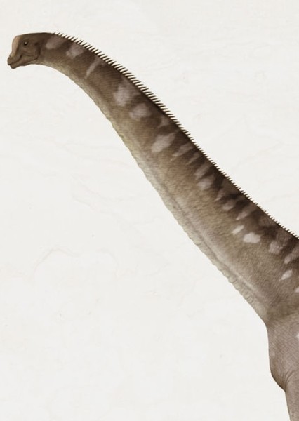 Lusotitan photo