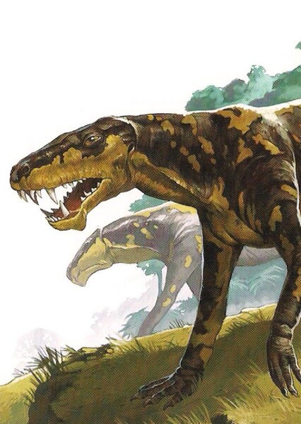 Lycaesaurus kirkii