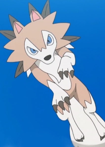 Lycanroc photo