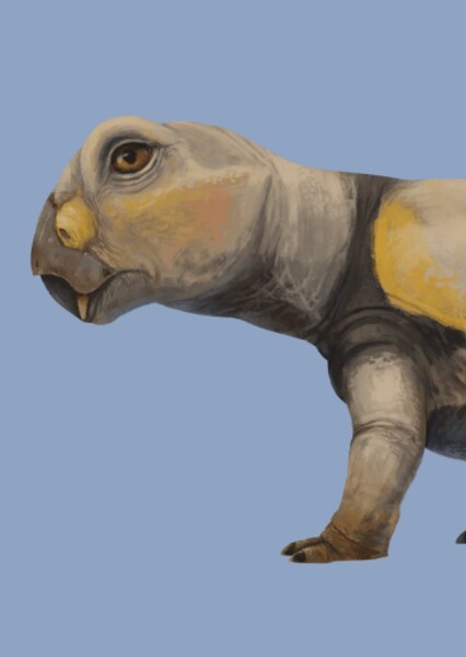 Lystrosaurus Petting Area