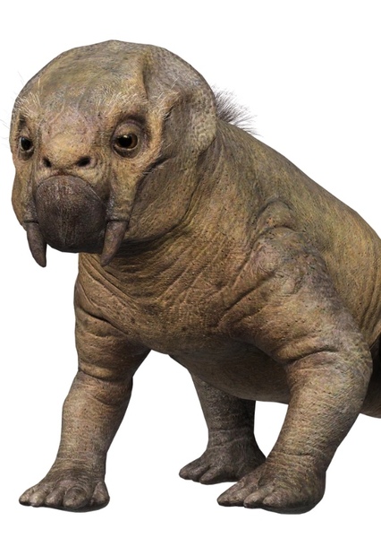 Lystrosaurus photo