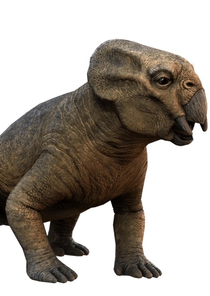 Lystrosaurus photo