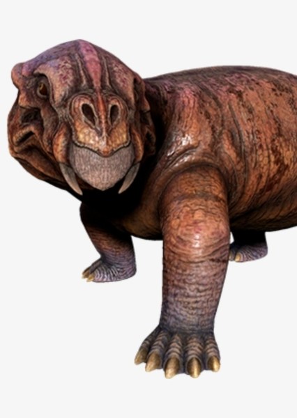 Lystrosaurus photo