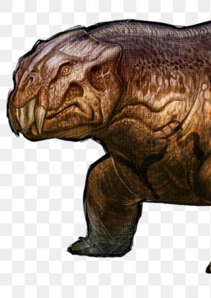 Lystrosaurus photo