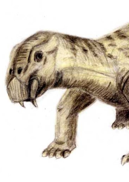 Lystrosaurus photo