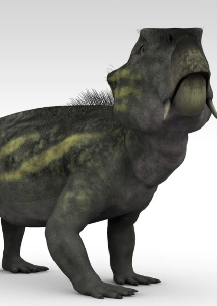 Lystrosaurus photo