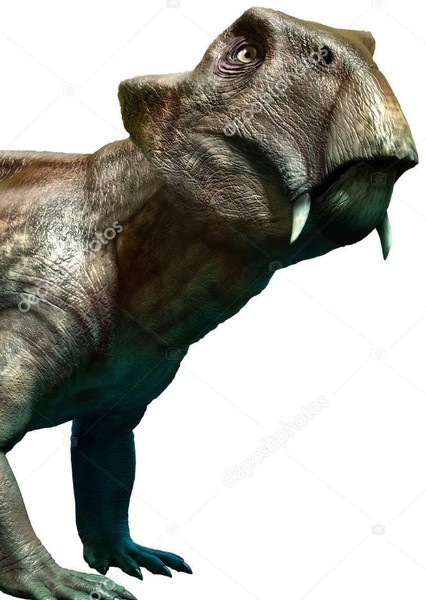 Lystrosaurus photo