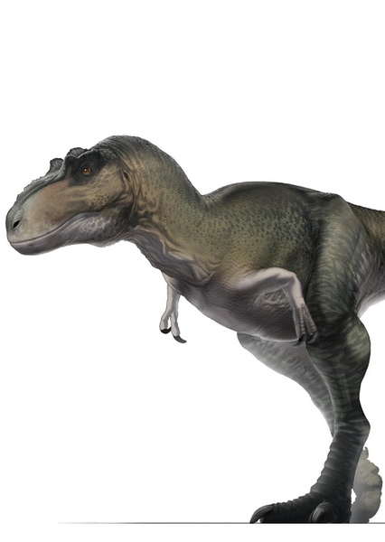 Lythronax photo