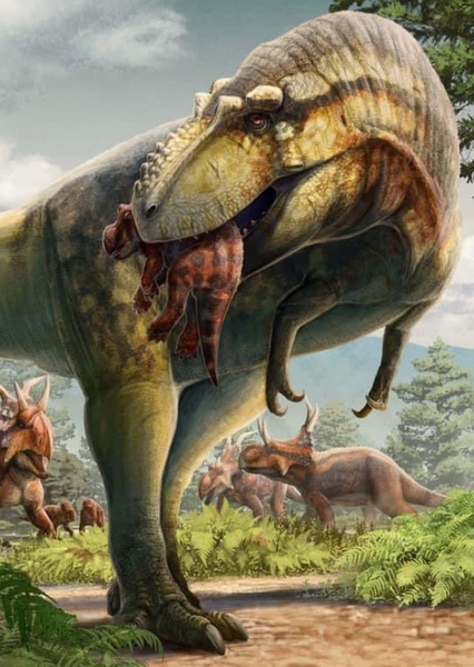 Lythronax photo