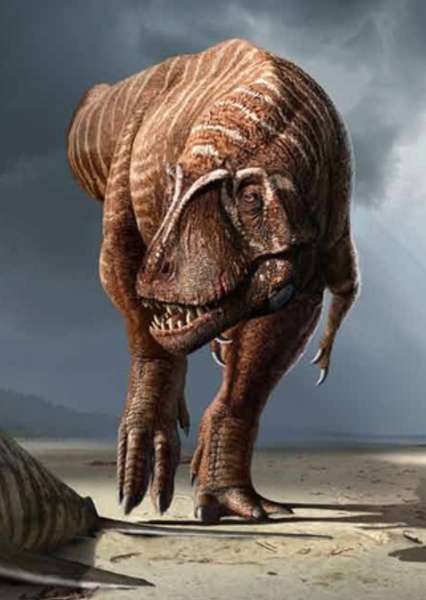 Lythronax photo