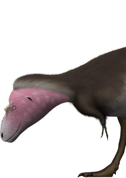 Lythronax