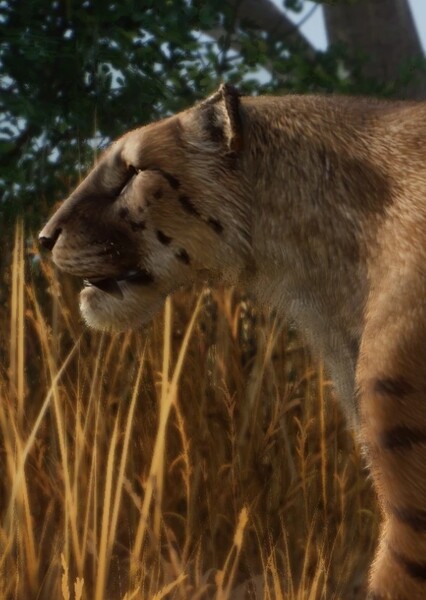 Machairodus