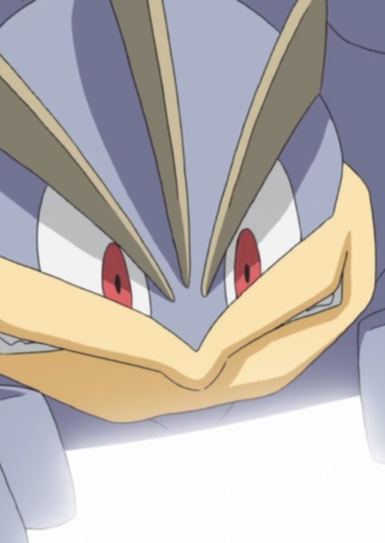 Machamp photo
