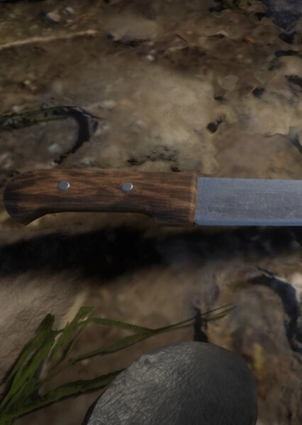 Machete photo