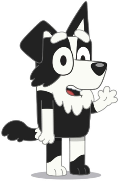 Mackenzie Border Collie