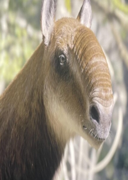 Macrauchenia (Prehistoric Planet: Ice Age)