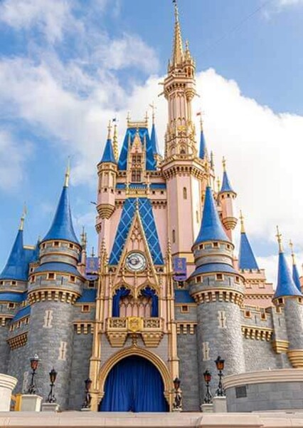 Magic Kingdom photo