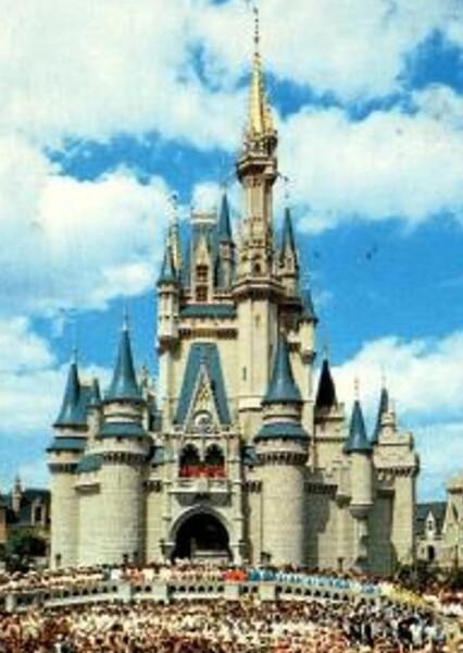 Magic Kingdom photo