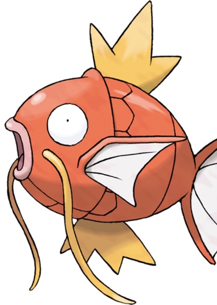 Magikarp photo