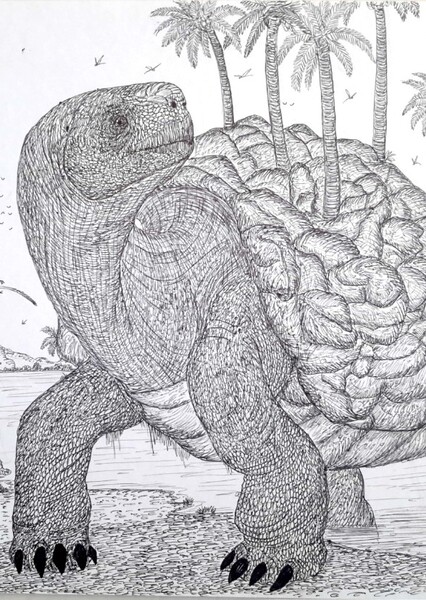 Magma Turtle photo