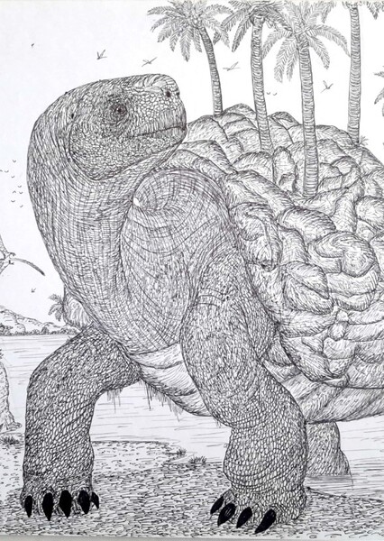 Magma Turtle photo