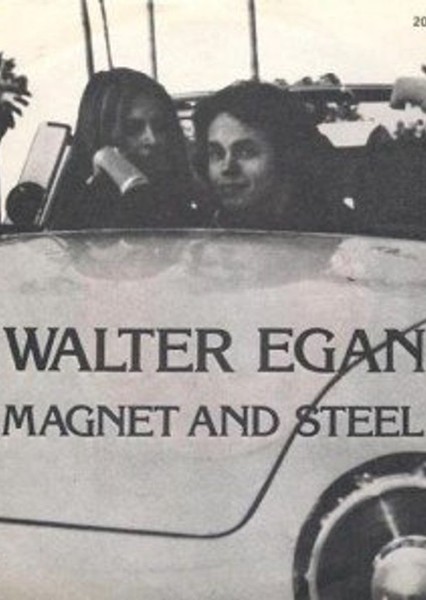 Magnet and Steel