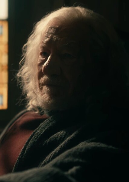 Magneto (Marvel Cinematic Universe)