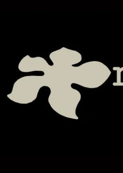Magnolia Pictures photo