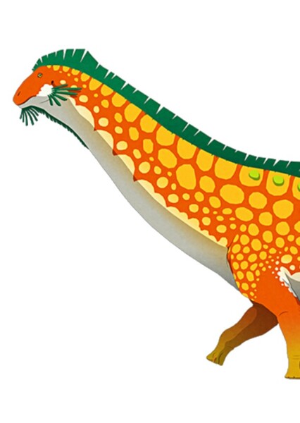 Magyarosaurus photo