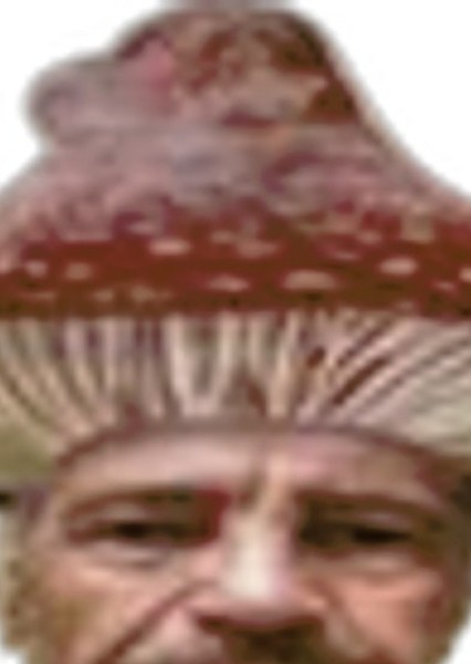 Mahatma Gandhi photo