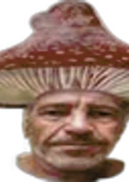 Mahatma Gandhi photo
