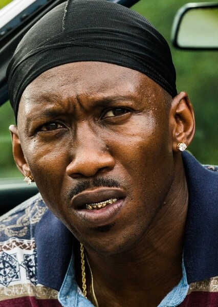 Mahershala Ali photo