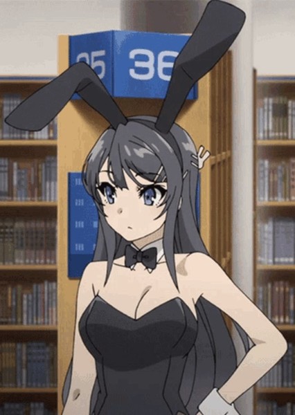 Mai Sakurajima photo