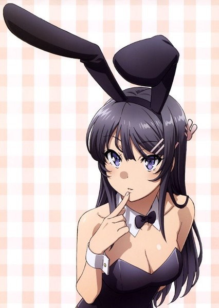 Mai Sakurajima photo