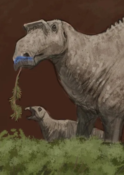 Maiasaura photo