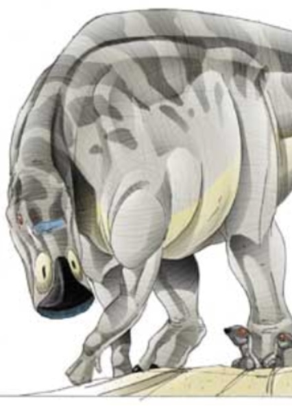 Maiasaura photo