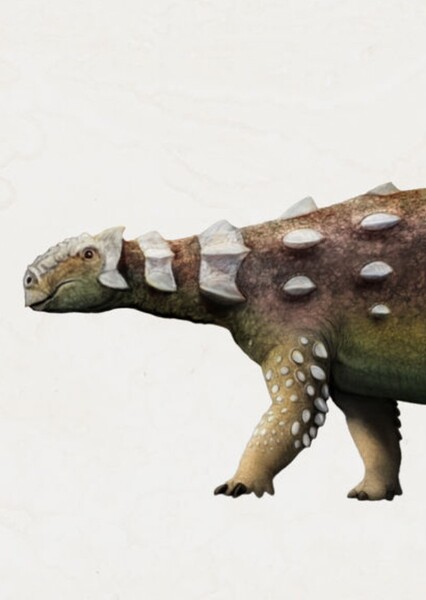 Maleevus
