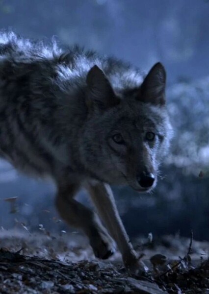 Malia Tate photo