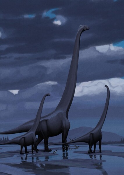 Mamenchisaurus photo