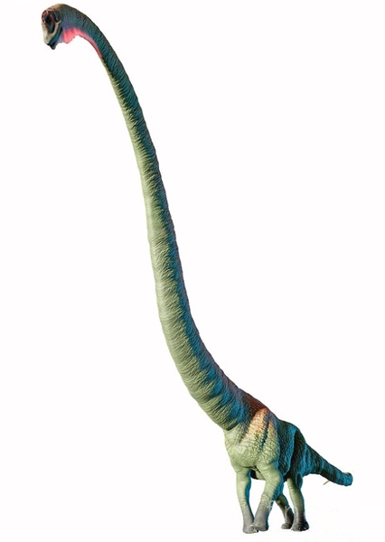 Mamenchisaurus photo