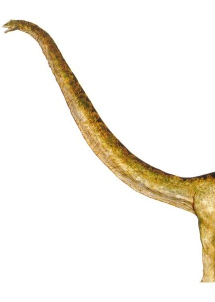 Mamenchisaurus photo