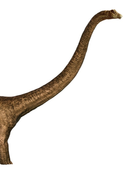Mamenchisaurus photo