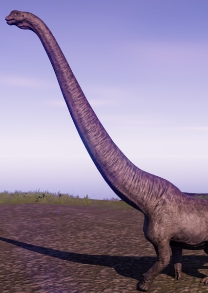 Mamenchisaurus photo