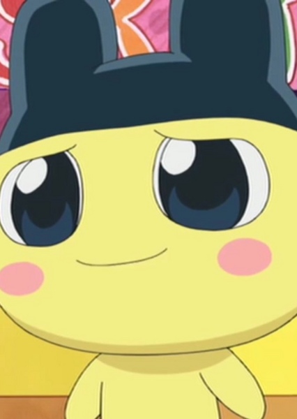 Mametchi photo