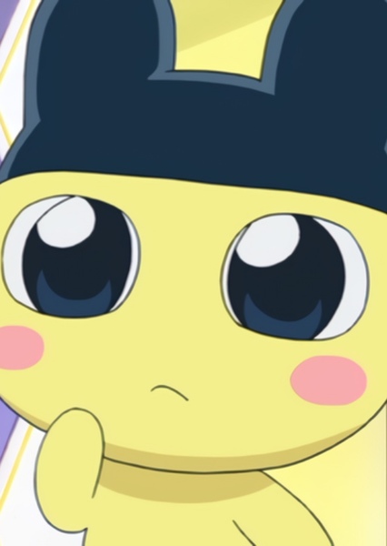 Mametchi photo