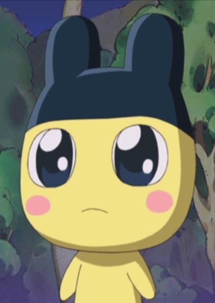 Mametchi photo