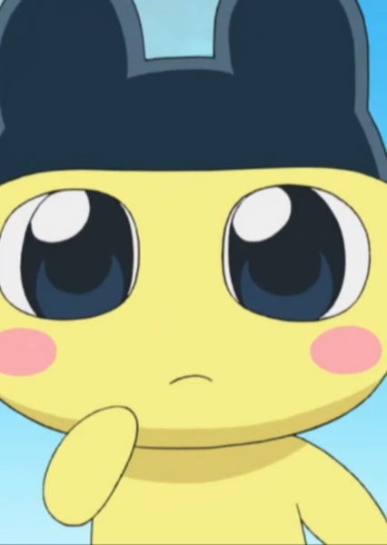 Mametchi photo