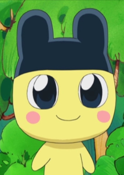 Mametchi photo